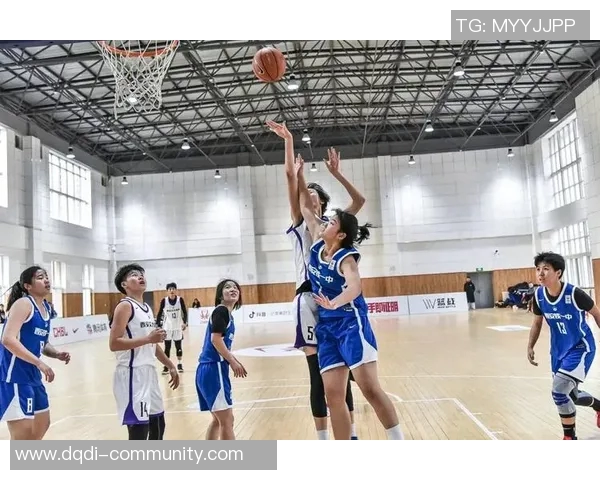 西安篮球队战术深度解析及与其他球队的对比分析